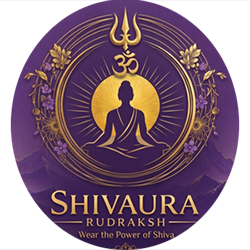 Shivaura Rudraksh