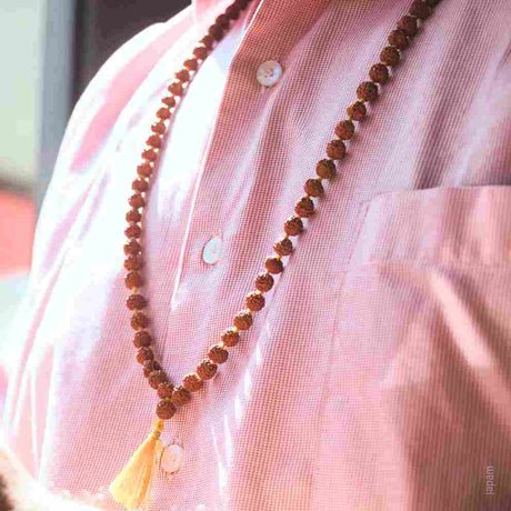 Brown Rudraksha Mala (108+1)